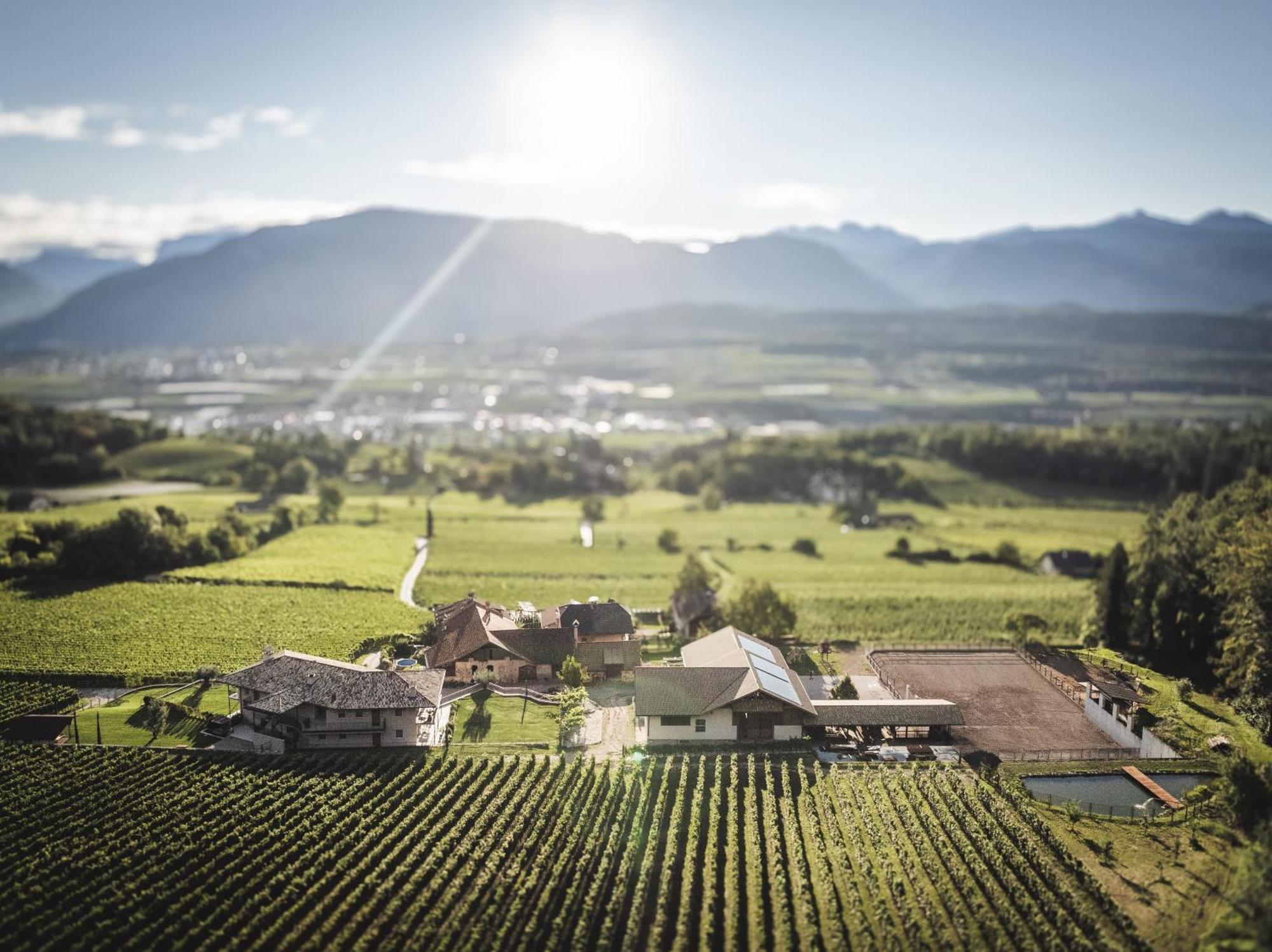 Nofnerhof Appartement Eppan an der Weinstraße Buitenkant foto